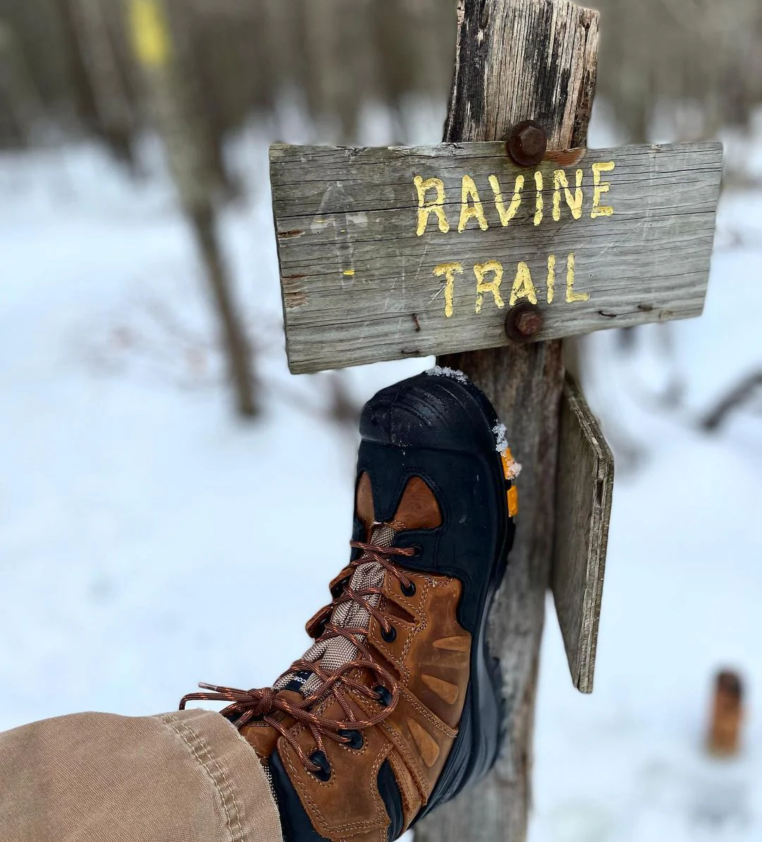 ins_azwooddesign-ak669-3