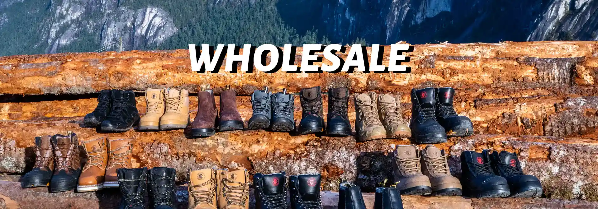 Banner_wholesale-001_dde5f83a-4f7b-416c-9279-907bf06f3f47